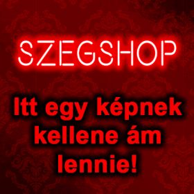 SKF N205 ECP (Hengergörgős csapágy, 1 soros)